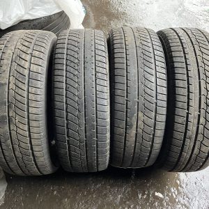 Fortune FSR-901 225/65 R17